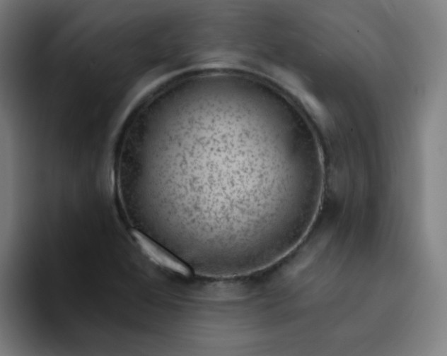X0000094381368200711162122