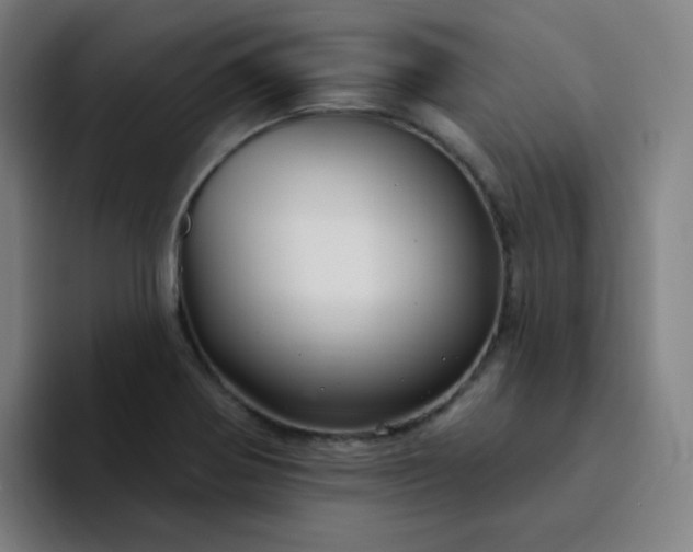 X0000094381370200711162122