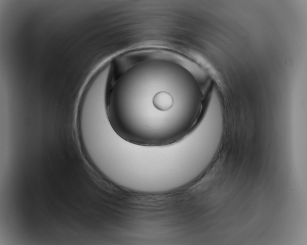 X0000094381372200711162122