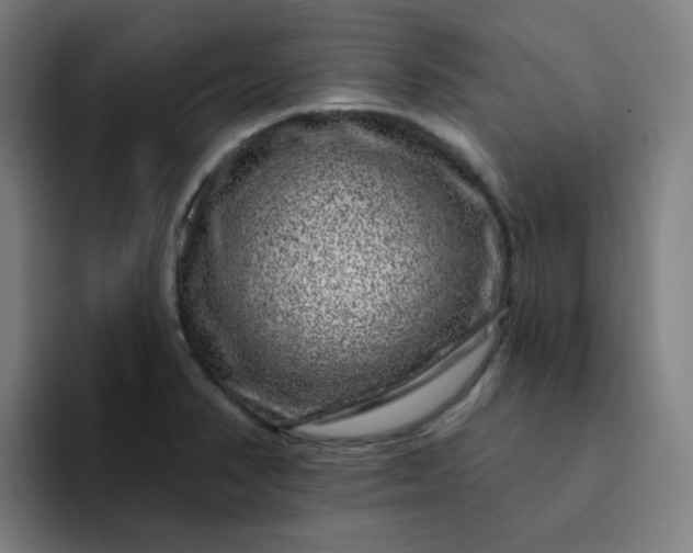 X0000094381374200711162122