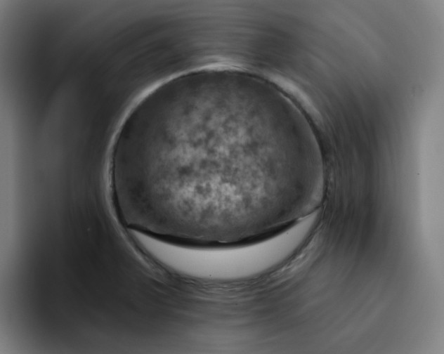 X0000094381375200711162122