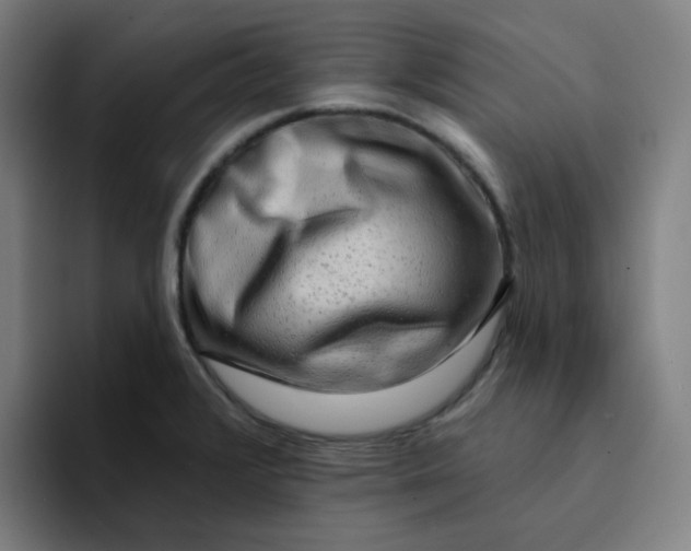 X0000094381376200711162122