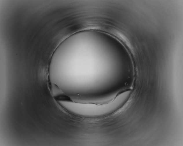X0000094381377200711162122