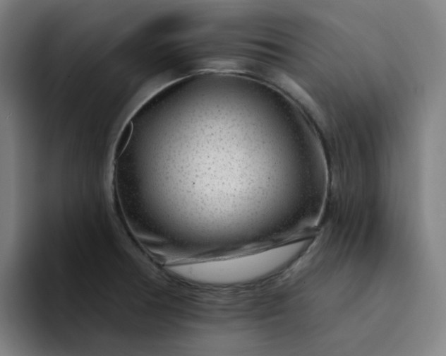 X0000094381378200711162122