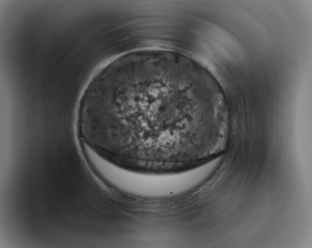 X0000094381379200711162122