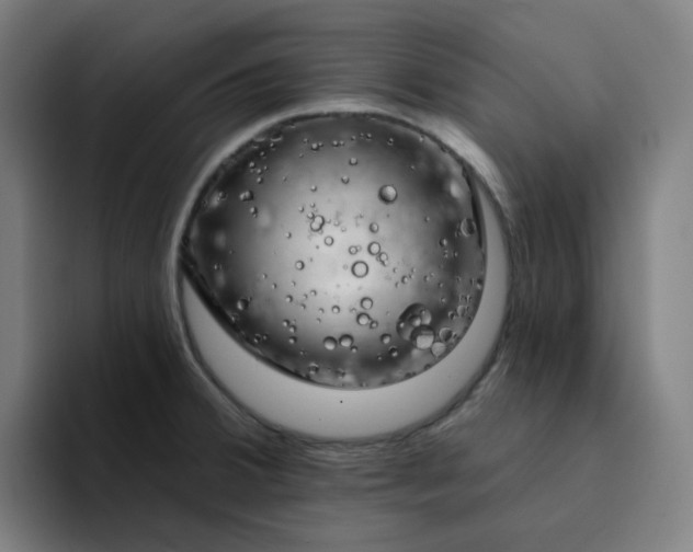 X0000094381380200711162122