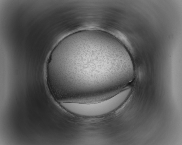 X0000094381382200711162122