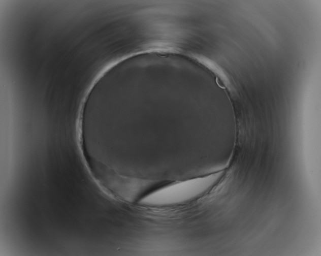 X0000094381383200711162122