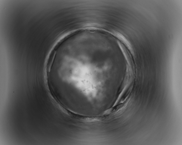 X0000094381384200711162122