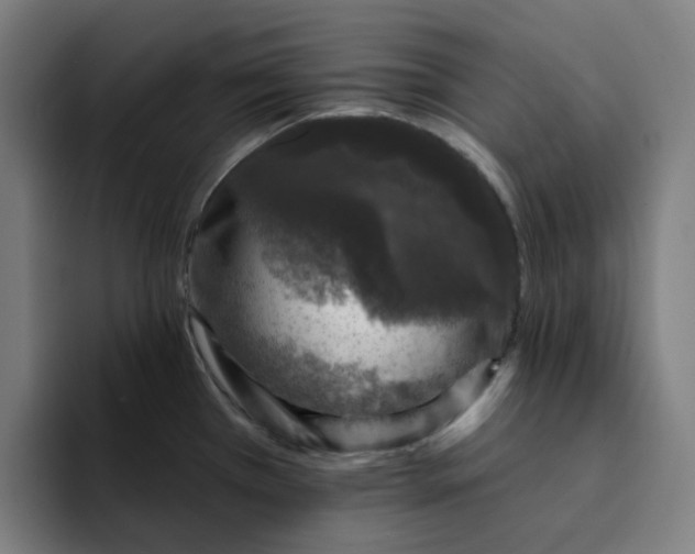X0000094381385200711162122