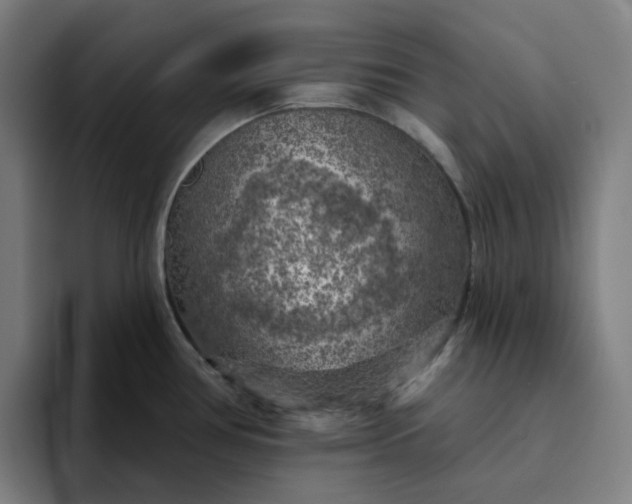 X0000094381386200711162122