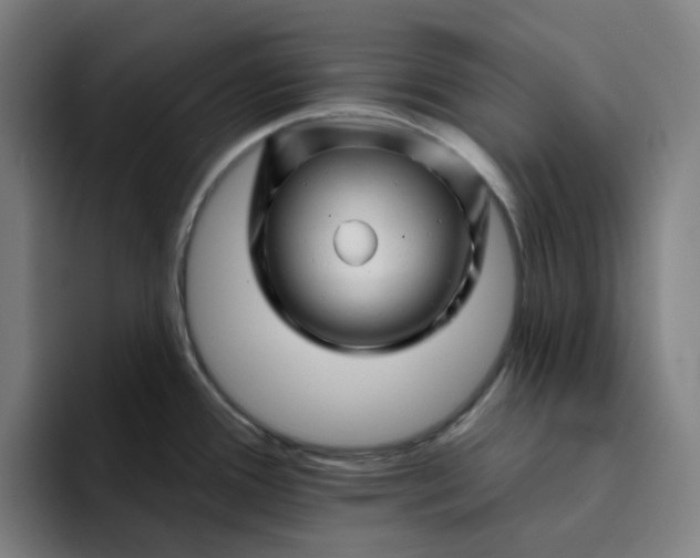 X0000094381388200711162122