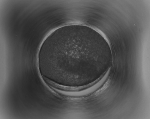 X0000094381389200711162122