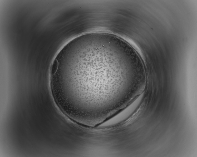 X0000094381390200711162122