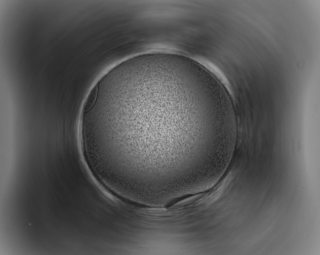 X0000094381391200711162122