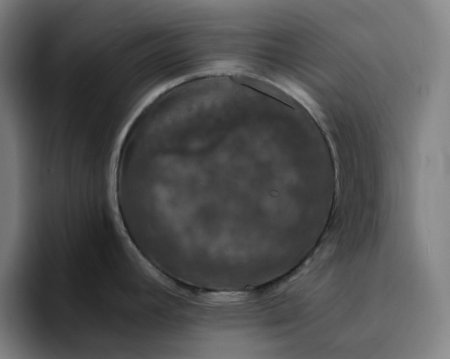 X0000094381392200711162122