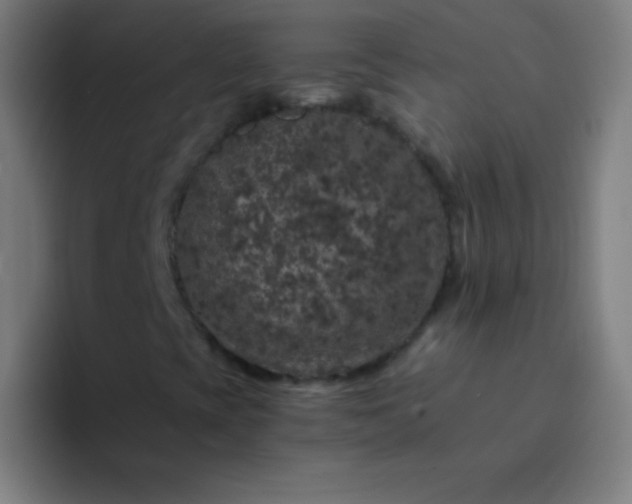 X0000094381393200711162121