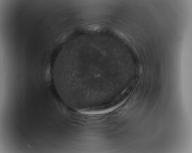 X0000094381394200711162121