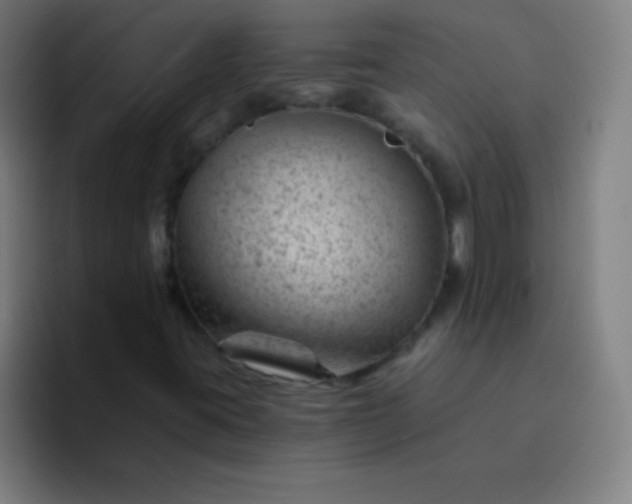 X0000094381395200711162121