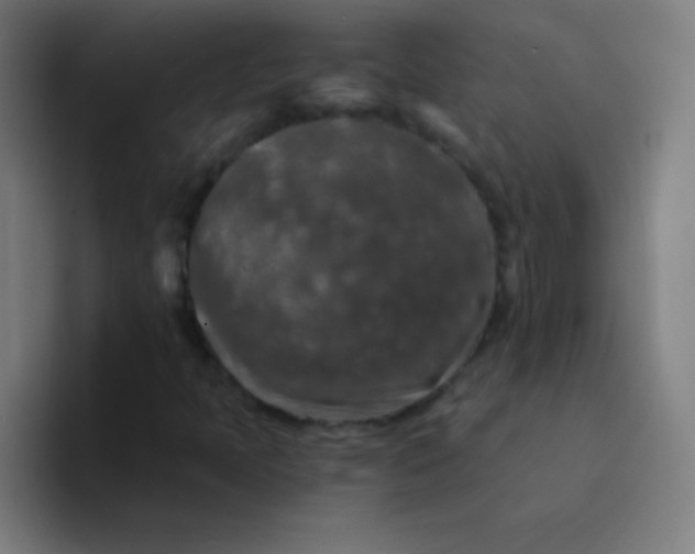 X0000094381397200711162121