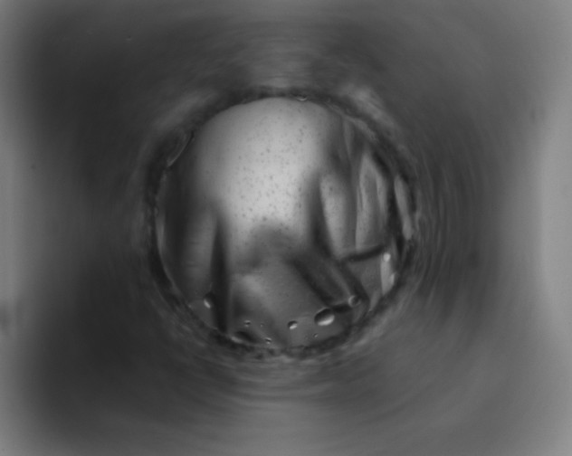 X0000094381398200711162121