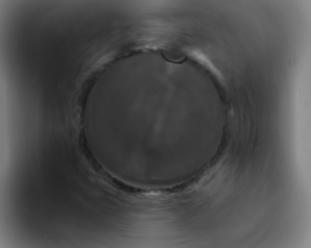 X0000094381399200711162121