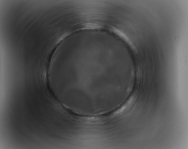 X0000094381401200711162121
