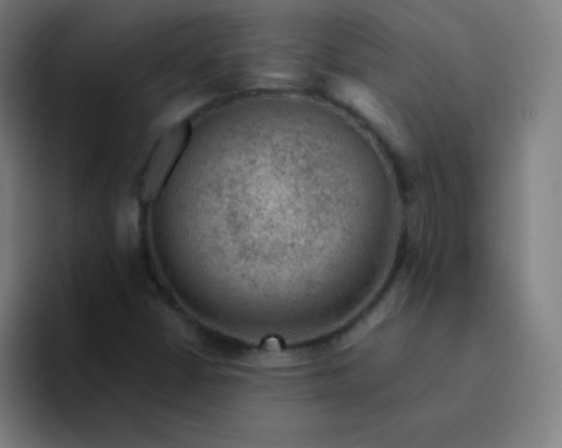 X0000094381402200711162121