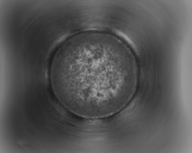 X0000094381403200711162121