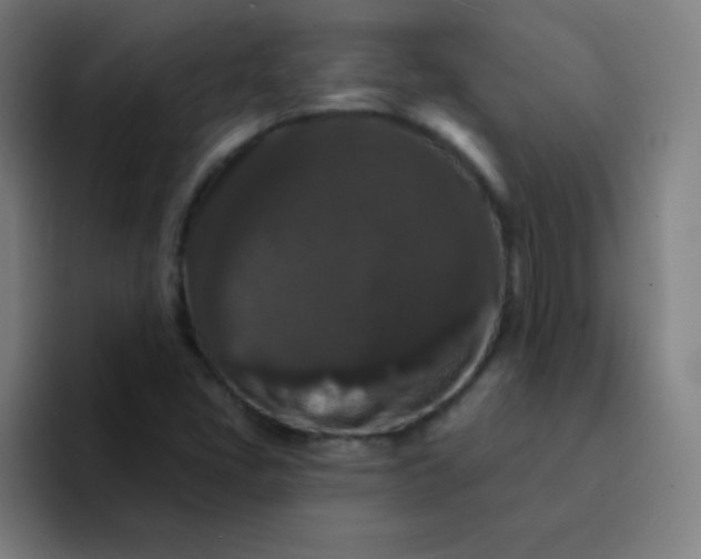 X0000094381405200711162121