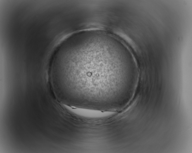 X0000094381407200711162121