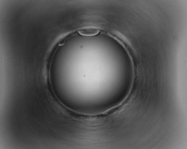 X0000094381408200711162121