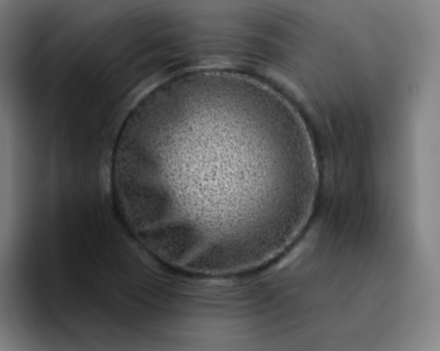 X0000094381409200711162121