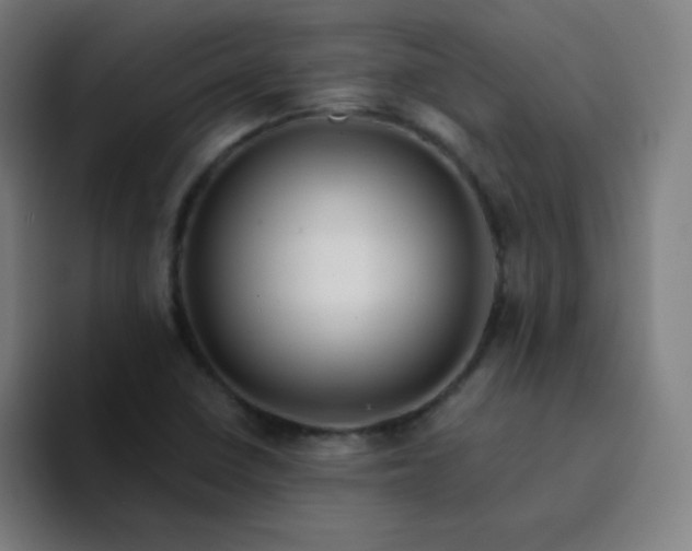 X0000094381410200711162121