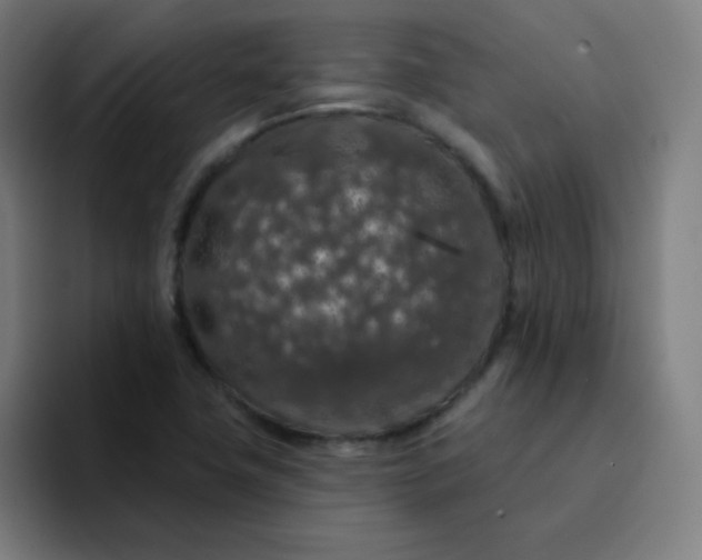 X0000094381411200711162121