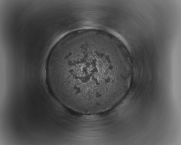 X0000094381415200711162121