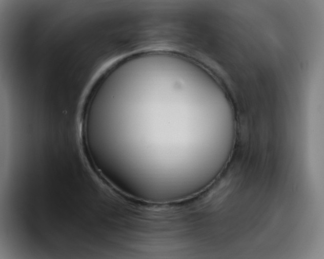 X0000094381416200711162121