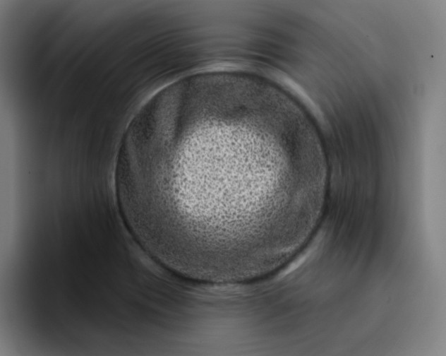 X0000094381417200711162121
