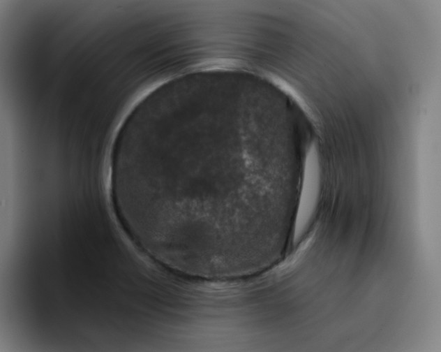 X0000094381418200711162121