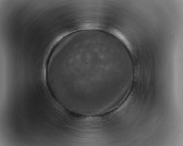 X0000094381419200711162121