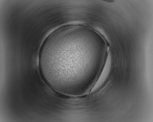 X0000094381420200711162121
