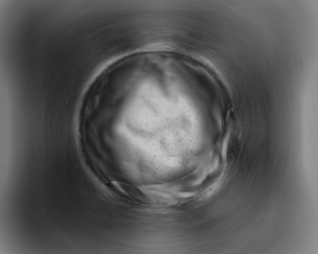 X0000094381422200711162121