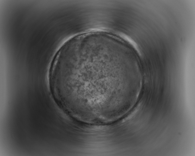 X0000094381423200711162121