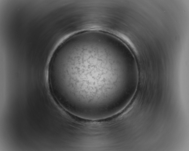 X0000094381424200711162121