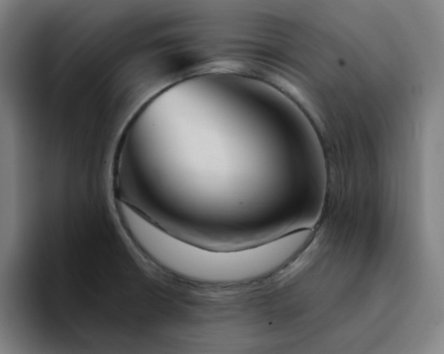 X0000094381426200711162122