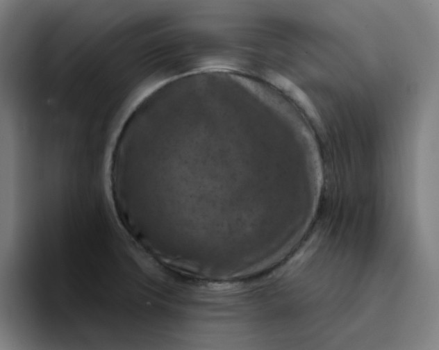 X0000094381427200711162122