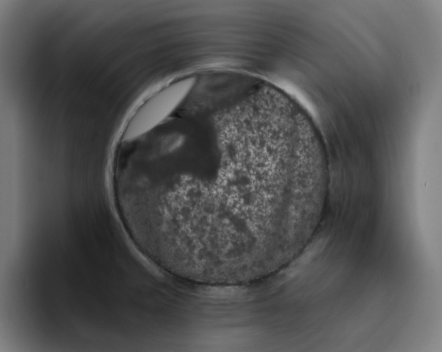 X0000094381429200711162122