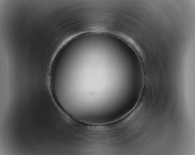 X0000094381432200711162122