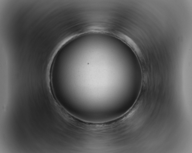 X0000094381435200711162122