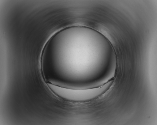 X0000094381436200711162122